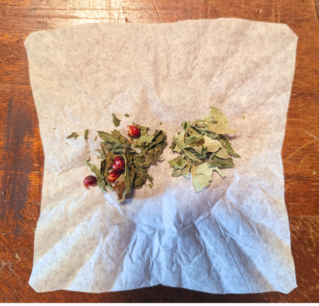 Wintergreen and spearmint with rose hips custom tea bag